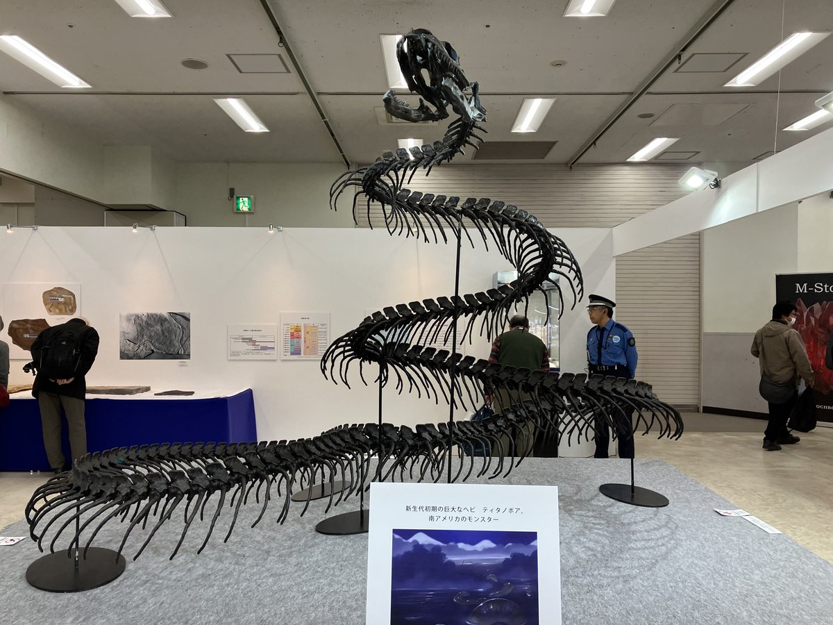 猫目石a.k.a.ふくにゃん tweet media