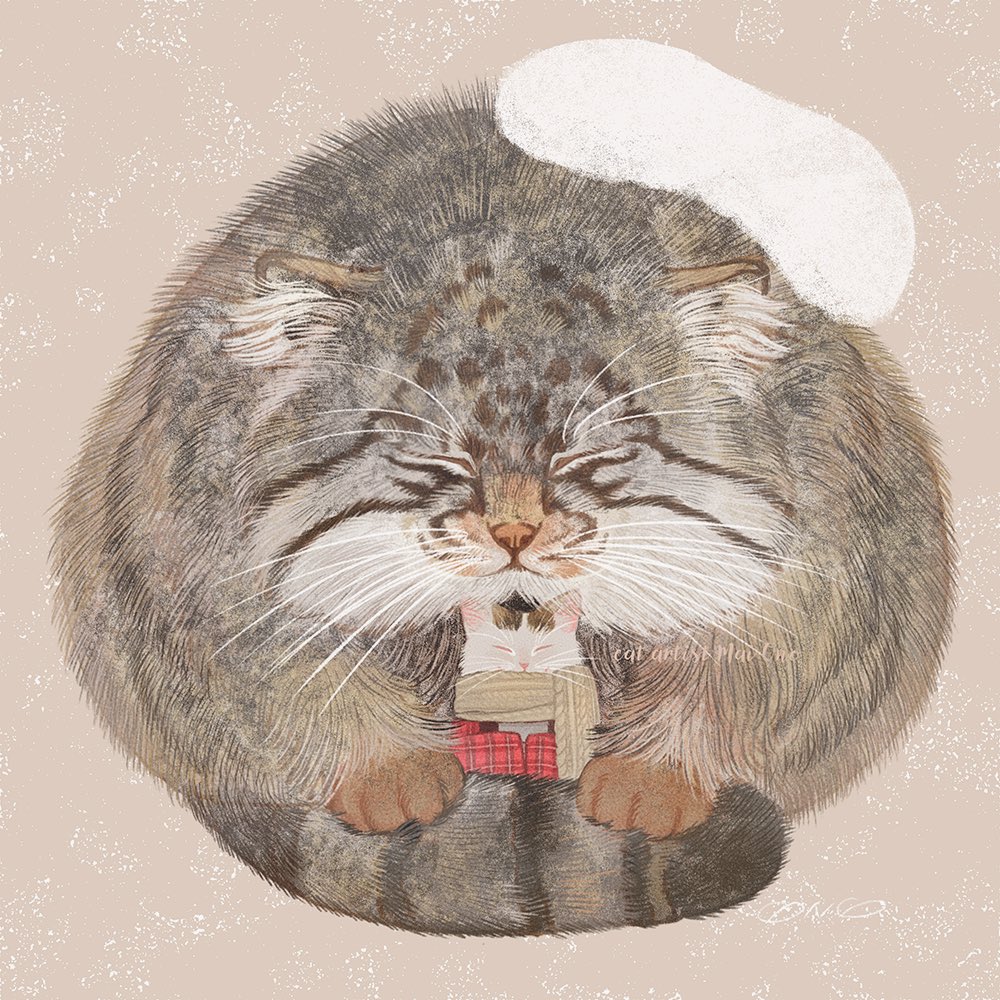 nekoe_onomai's tweet image. マヌルもち