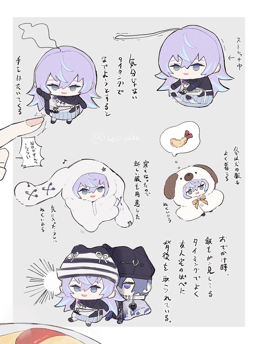 ぱぺ観察日記 