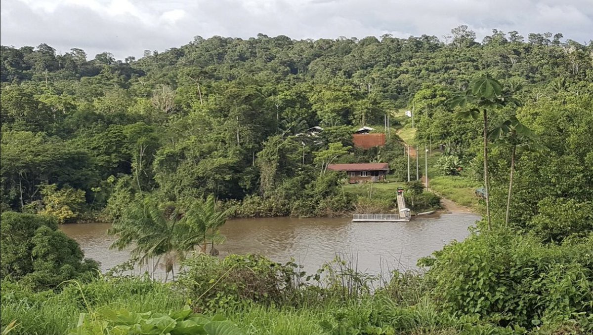 soframmi's tweet image. 📣 Plusieurs postes de médecin en milieu isolé sont à pourvoir en Guyane !

Retrouvez toutes ces annonces sur notre site internet : soframmi.fr/annonces