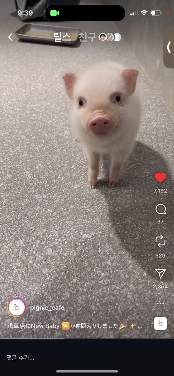 hambuguinea's tweet image. 어떻게 이 ㅈ만한발로서있는겨