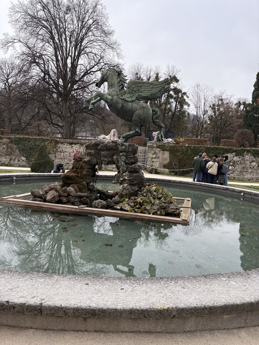 Victoria McKinley tweet media