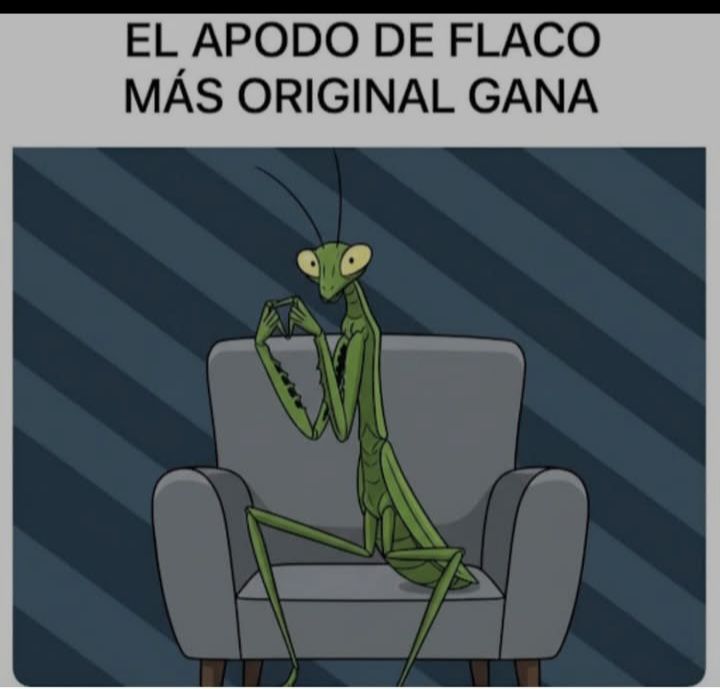 Errores gramaticales tweet media
