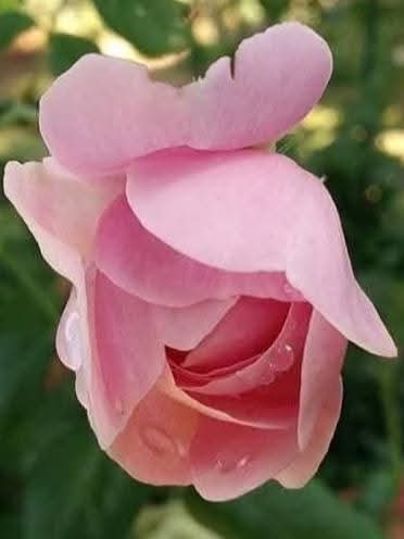 آنا اصف في شيء أنا مااحب الناس استعمل تويتر غيرالااب اكثر انساء يفرج صورة الجسم في مش كويس الااعزا إنسان محترم انتباه بنات خاصةً بنات اوحريم سعودي