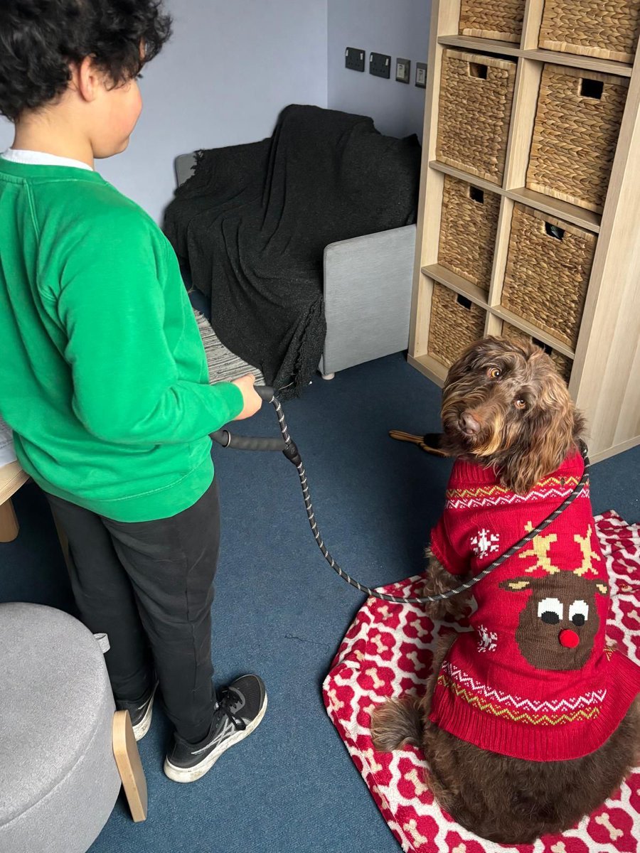 wbeingwoofers's tweet photo. Our Wellbeing Woofers are well and truly feeling the Christmas cheer! 🎄🐾 Festive outfits, wagging tails and thoughtful gifts from their school friends - their hearts (and stockings!) are full 🥰
#WellbeingWoofers #TherapyDog #SchoolDogs #SchoolWellbeing #ChildrensMentalHealth https://t.co/IjaY3gNeyn
