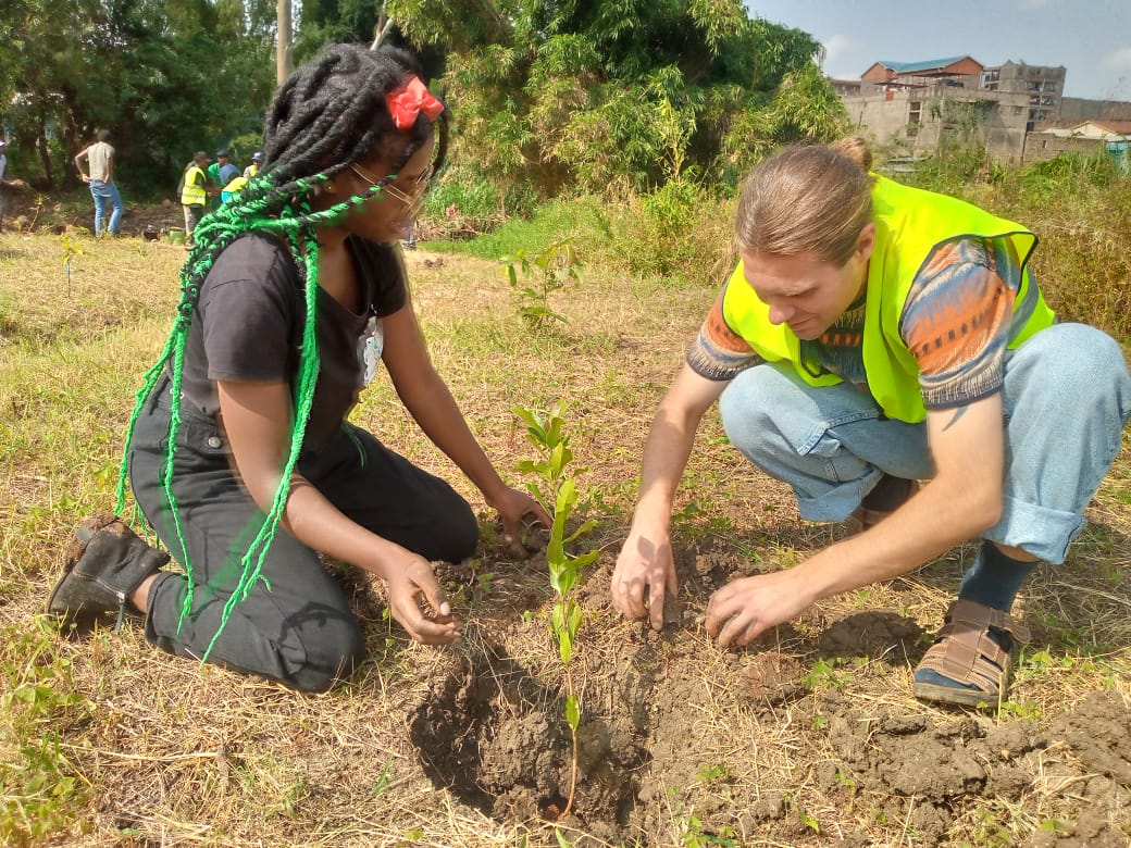 Small Axe Environmental Initiative tweet media