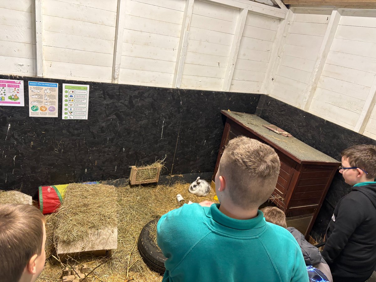 Maplefields Academy tweet media