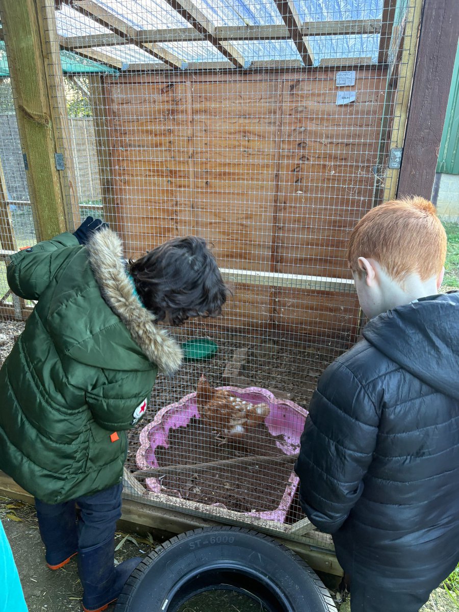 Maplefields Academy tweet media