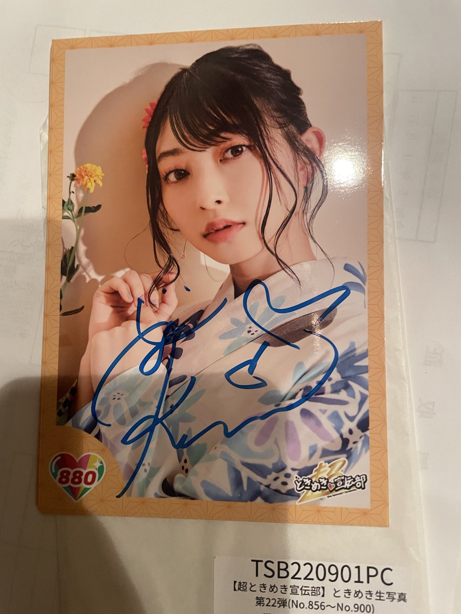 書類の間から 2022年夏の幕張ライブの生写真1セット 出てきてサイン