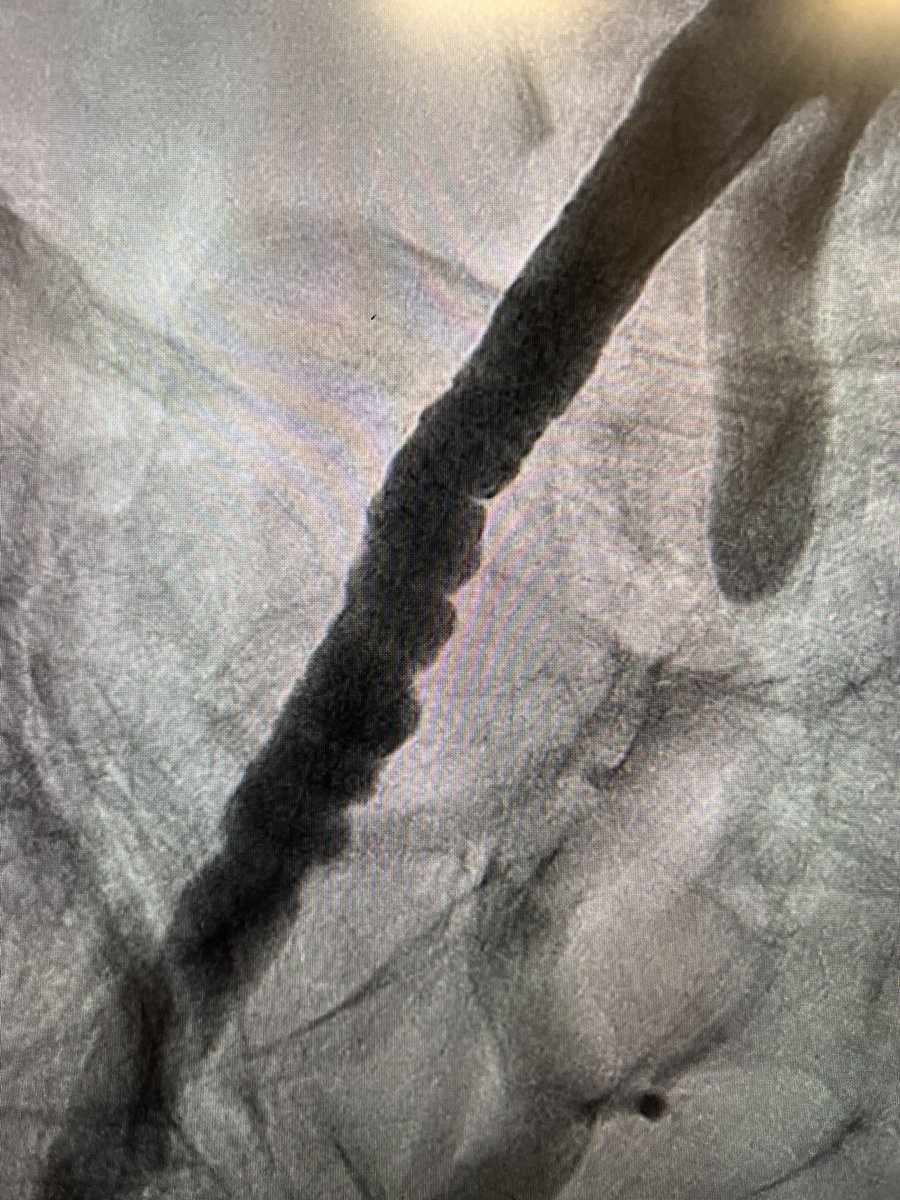 Teresa Bastante tweet media