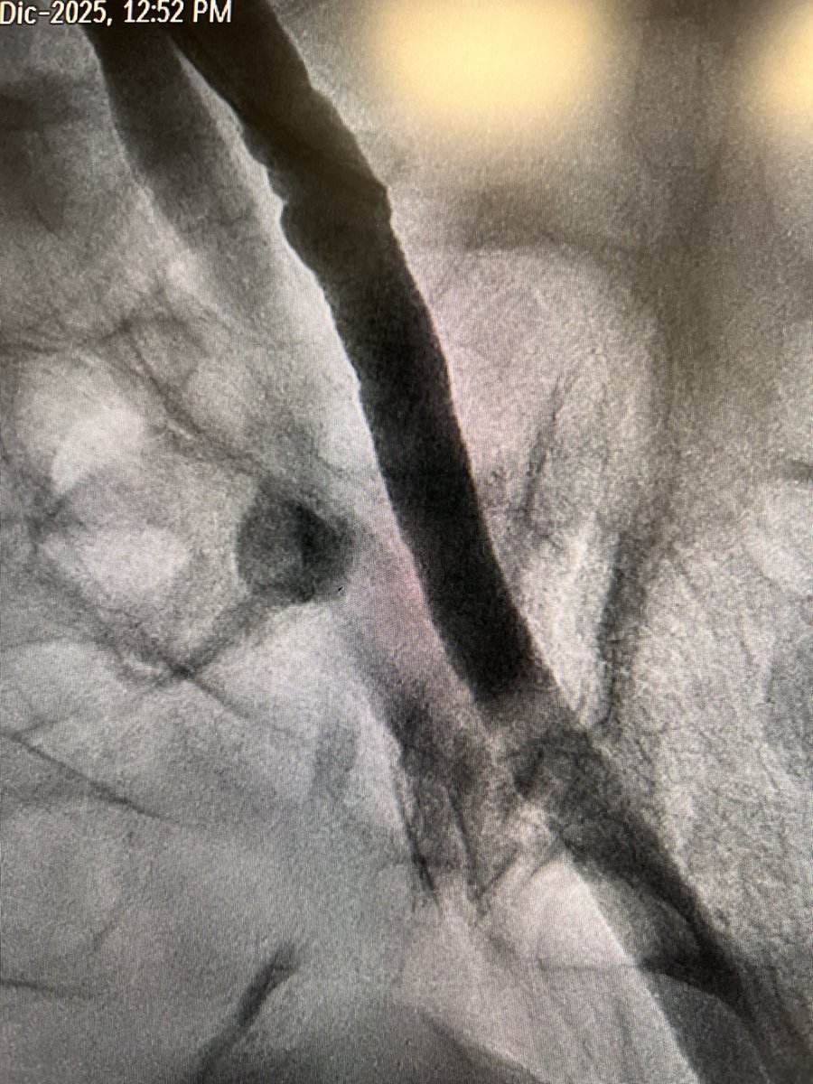 Teresa Bastante tweet media