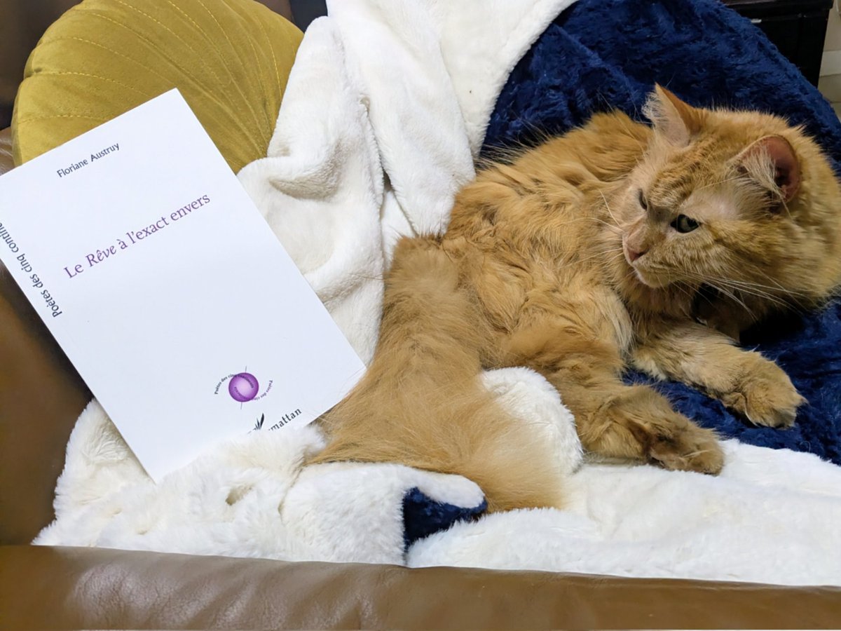 🎁📢 CONCOURS DE NOËL 🎄😻

📚 À gagner le recueil de poésie de l'humaine

🎅 Pour participer 🎅
Il faut partager la photo d'un pôti animal avec un ou des livres avant le 24 à minuit 📸

🎁 Tirage au sort le soir du 25 ✨

Likez, commentez, retweetez pour avoir plus de chance 😽