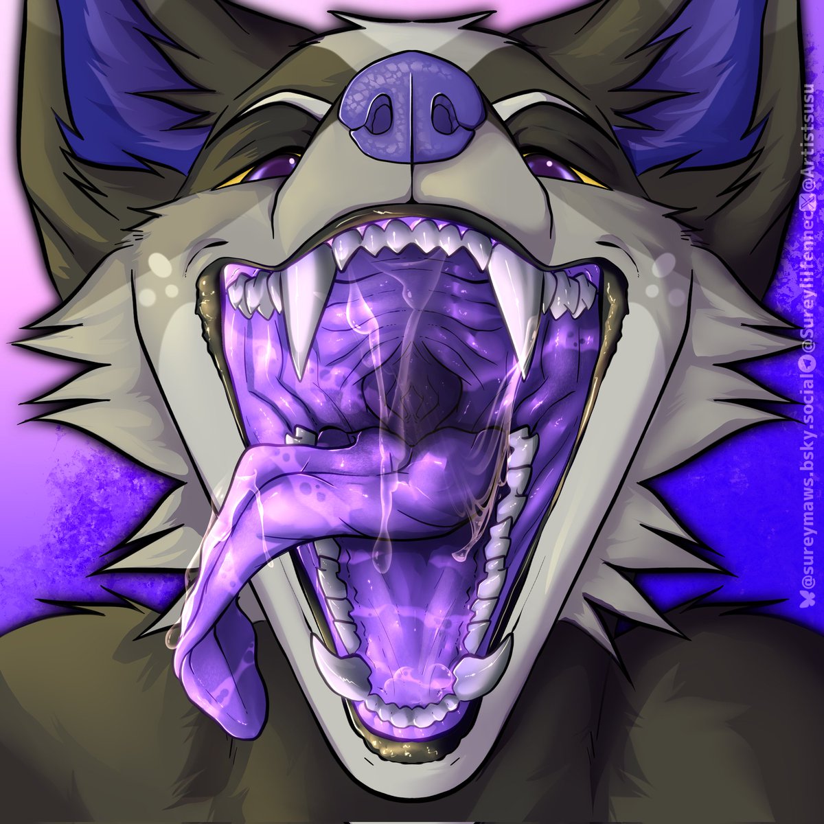 sureymaws.bsky.social 🌟 tweet media