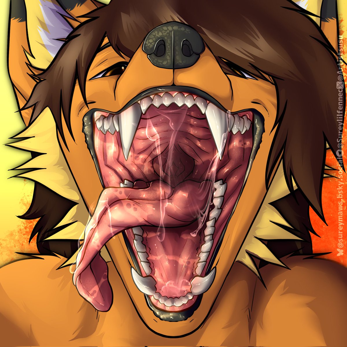 sureymaws.bsky.social 🌟 tweet media