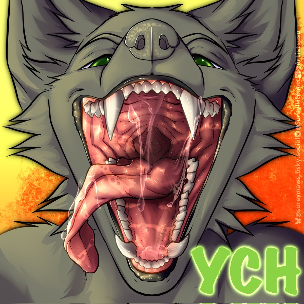 sureymaws.bsky.social 🌟 tweet media