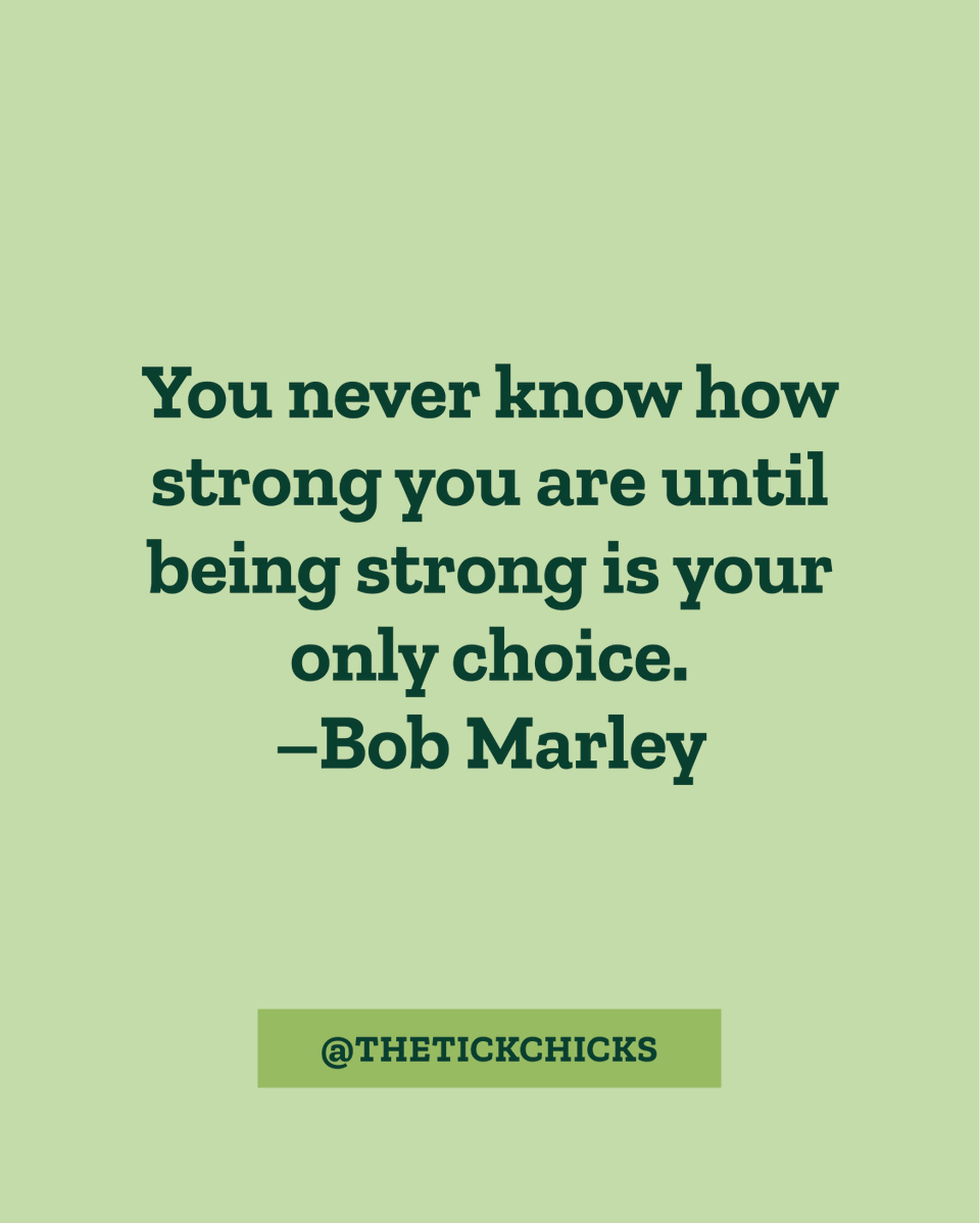 The Tick Chicks tweet media