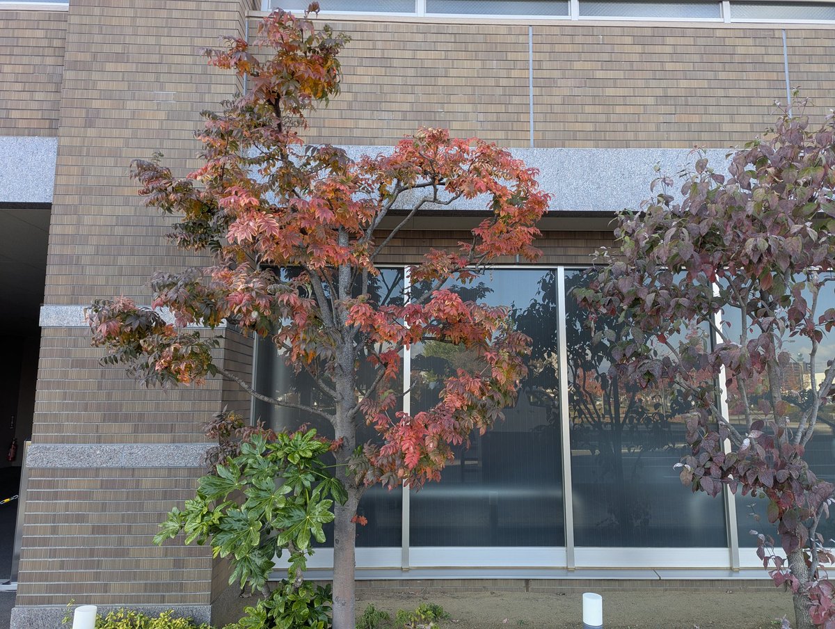 今夜はこれにて終了です。お休みなさい。