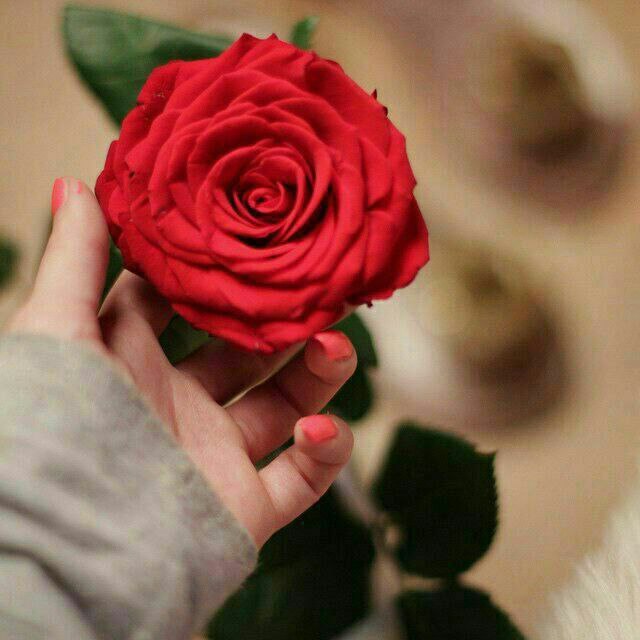 نصف السعاده تجدها في روح تفهمك 
والنصف الاخر في قلبا لن يتغير عليك