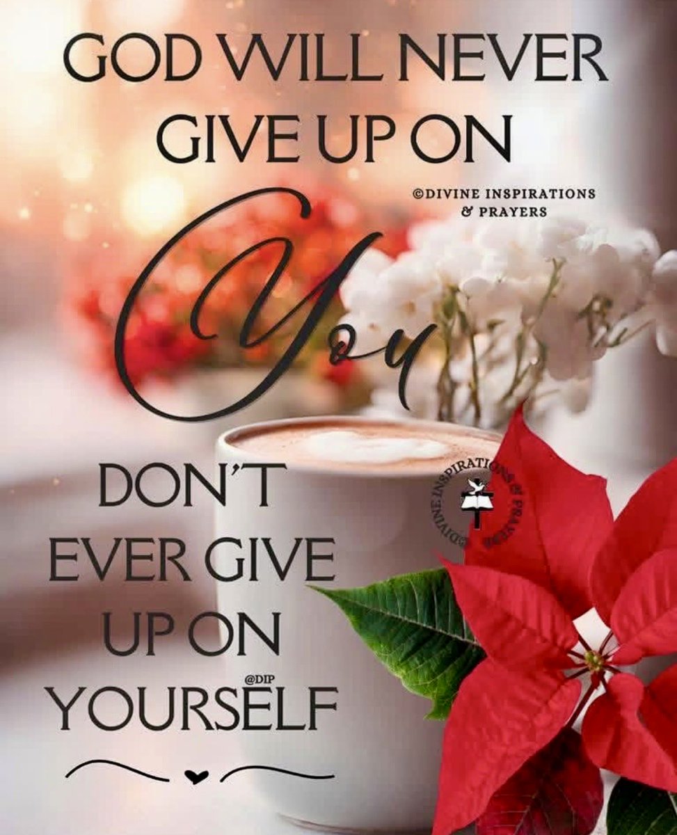 Judy Graves (@judygra35816777) on Twitter photo 