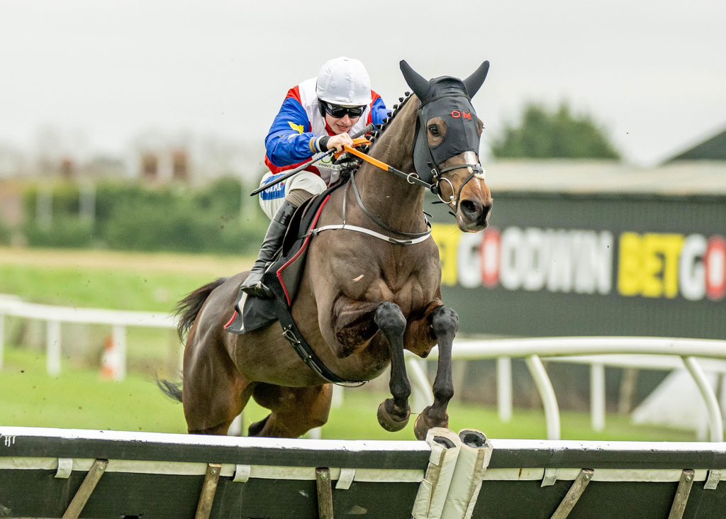 The Royal Arch Racing Novices’ Hurdle has been won by Adonedeal and Sean Bowen for Olly Murphy and Noel Fehily Racing Syndicate - Adonedeal