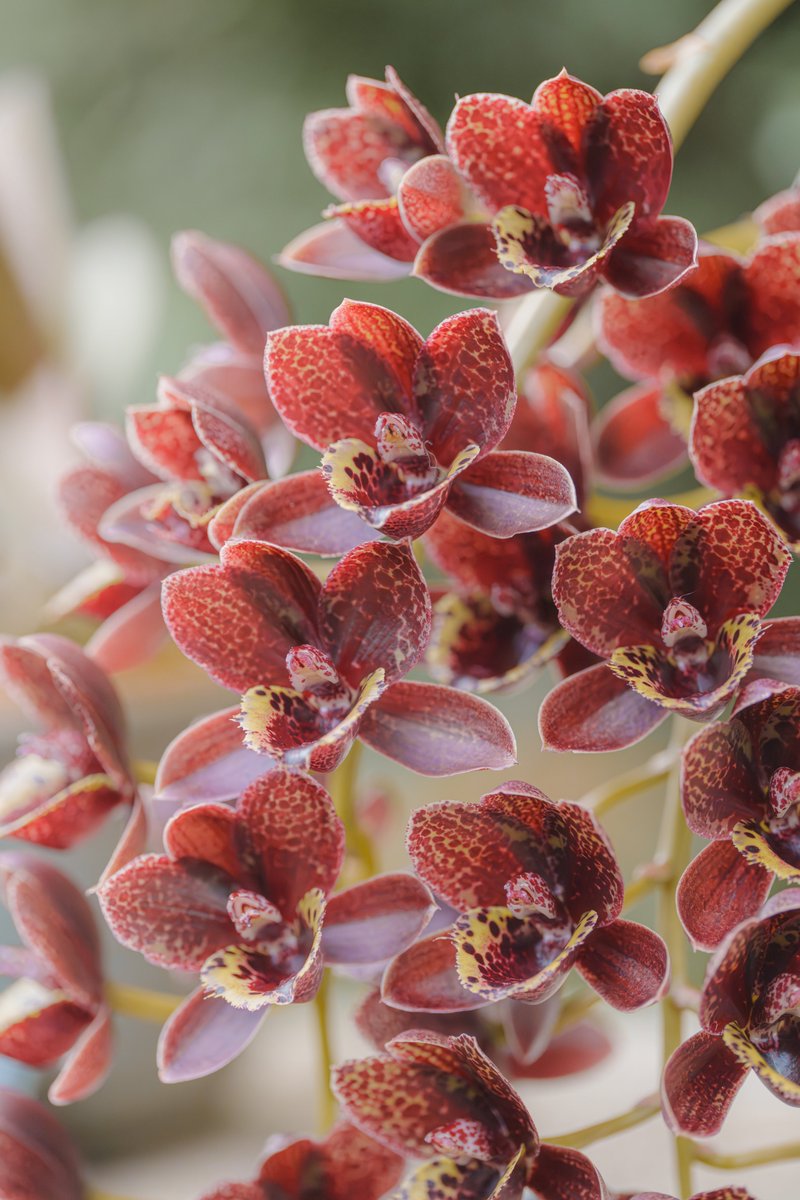 おやすみなさい(-_-)zzz✨