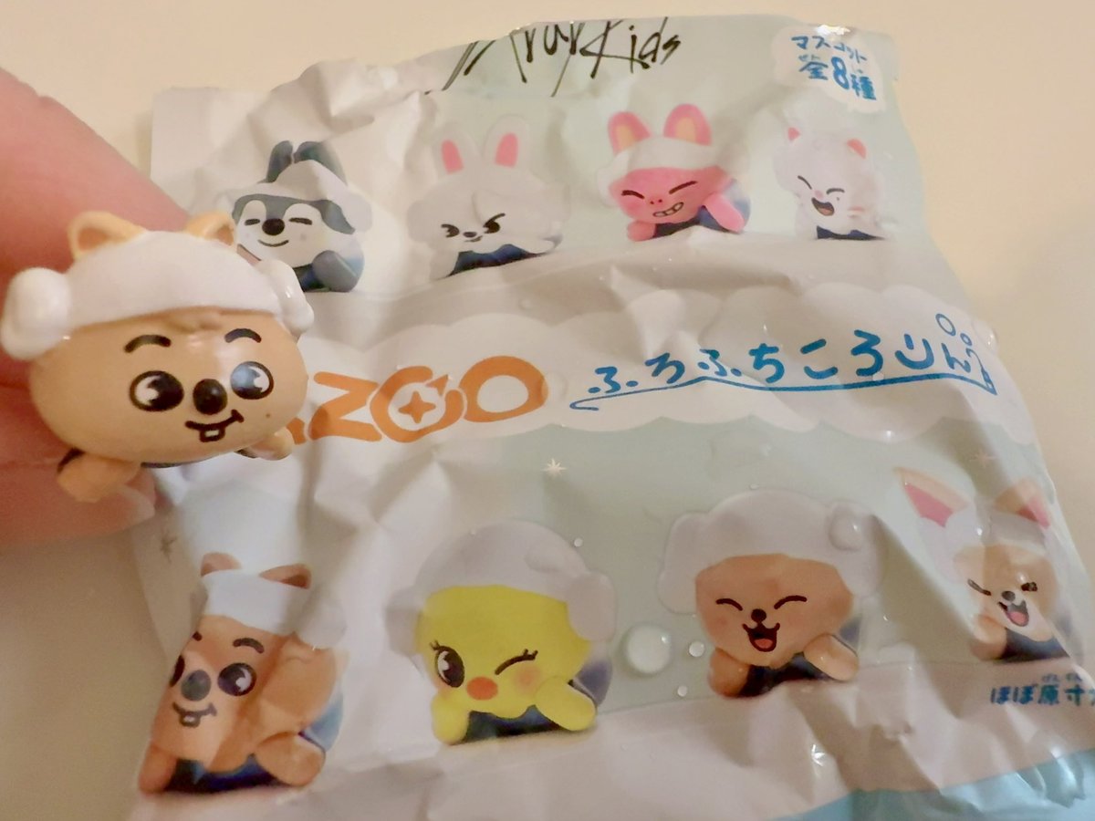 今日のskzooはハンクォッカ☺️ パケの写真の下の段は揃った