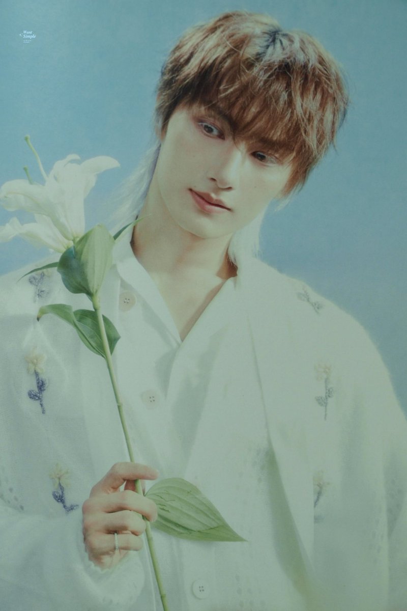 [SCAN] SEVENTEEN 2026 SEASON GREETING 🐱
세븐틴 2026 시즌그리팅 스캔본

#준 #JUN
#文俊辉 #ジュン