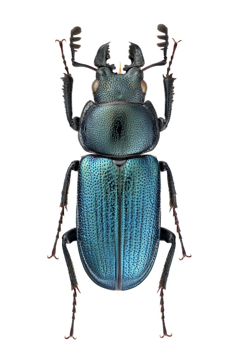 Uchi (@uchi123a456) / Posts / X