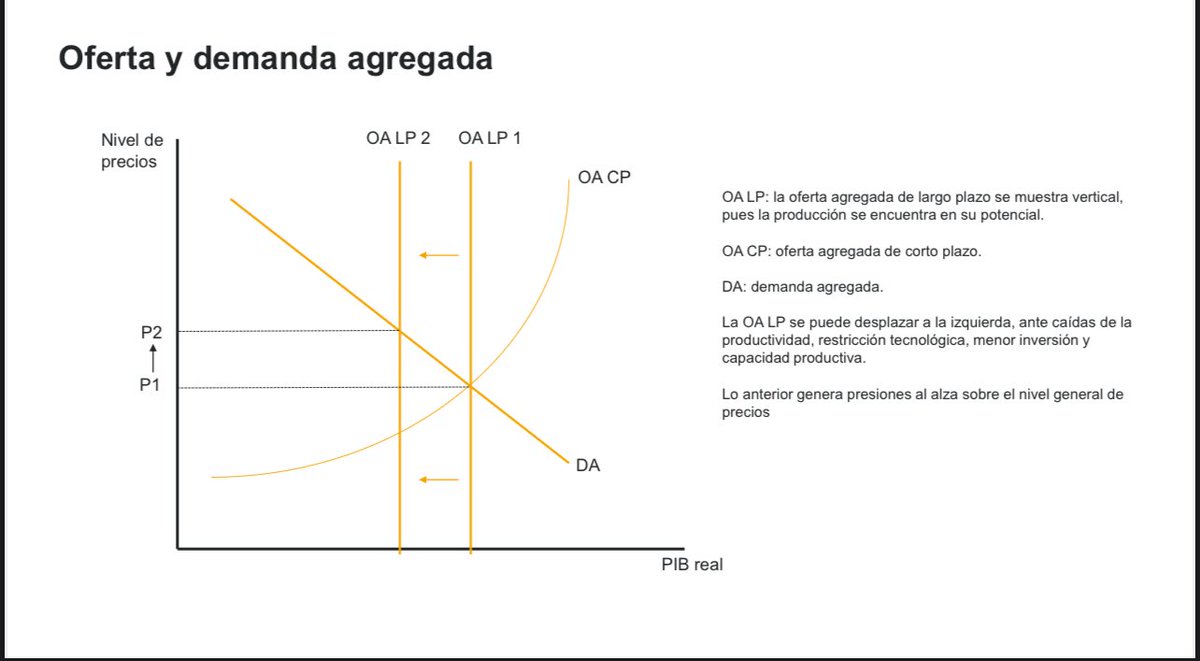 Gabriela Siller Pagaza tweet media