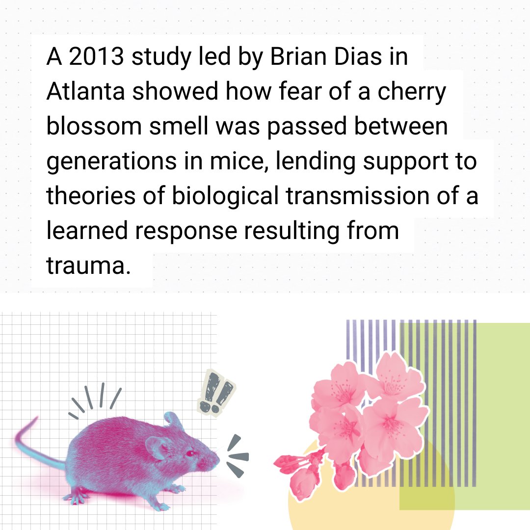 OUR Generation Project tweet media