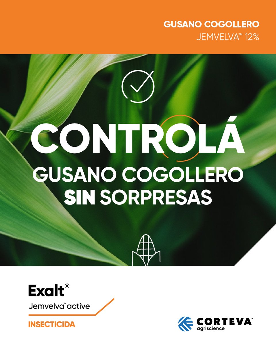 El control más rápido y eficaz para proteger tu maíz del Gusano Cogollero (Spodoptera) es Exalt®.