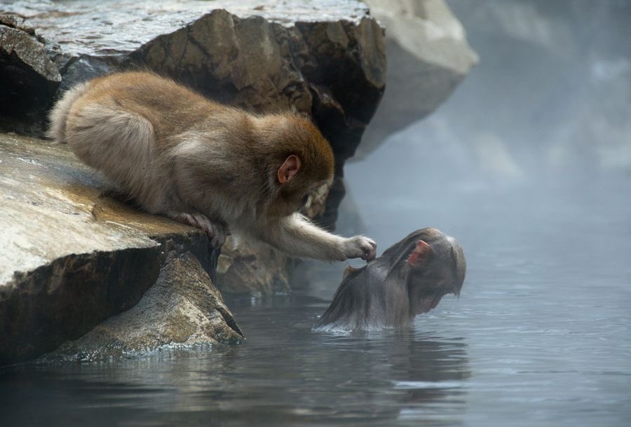 eat5G's tweet image. Just leave me alone bro i’m fine