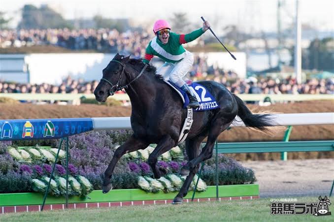 2003年 今年の漢字「虎🐯」 ➡️有馬記念 シンボリクリスエス 連覇