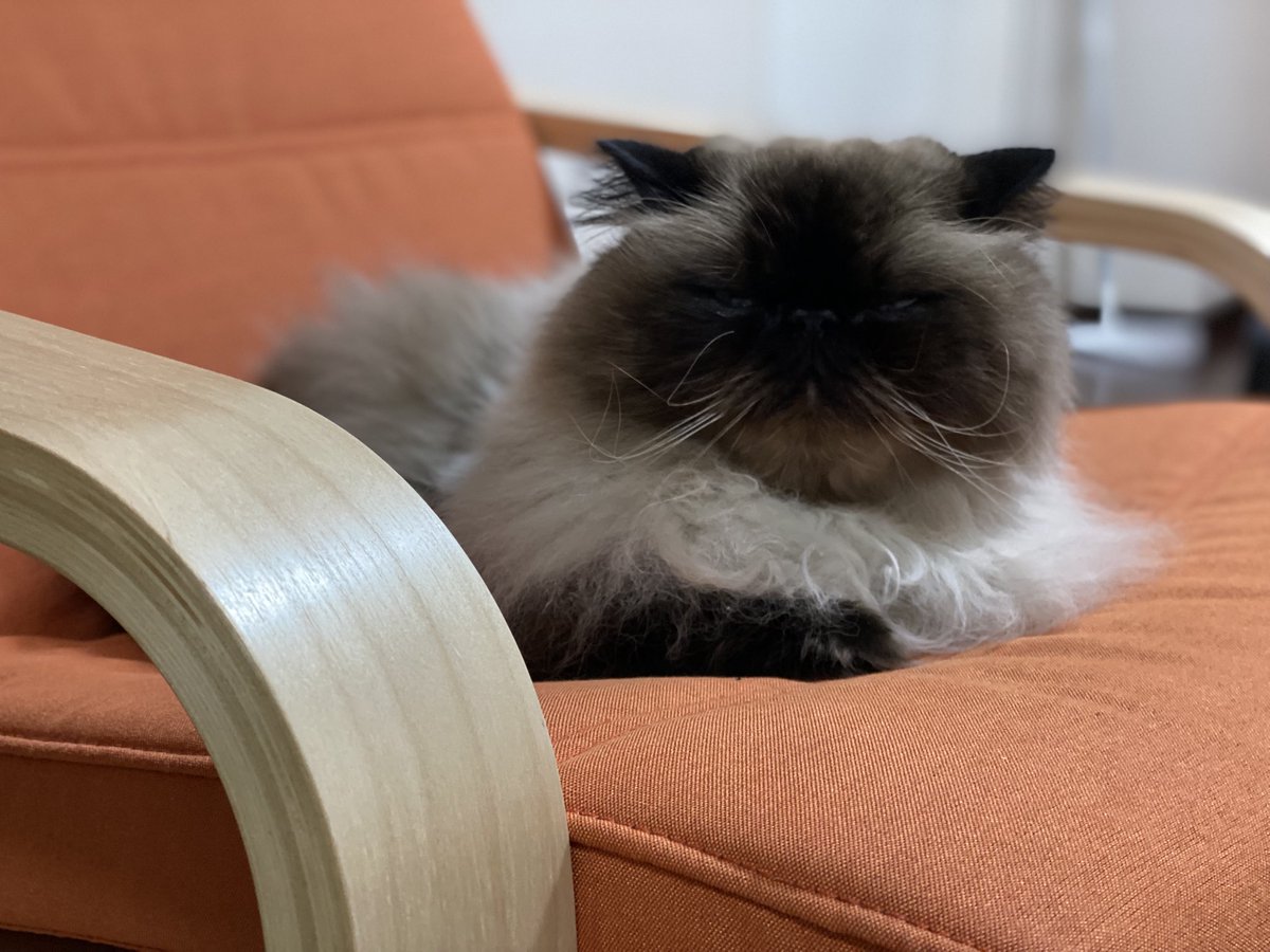 むぎ (@Mugi_is_No1) / Posts / X