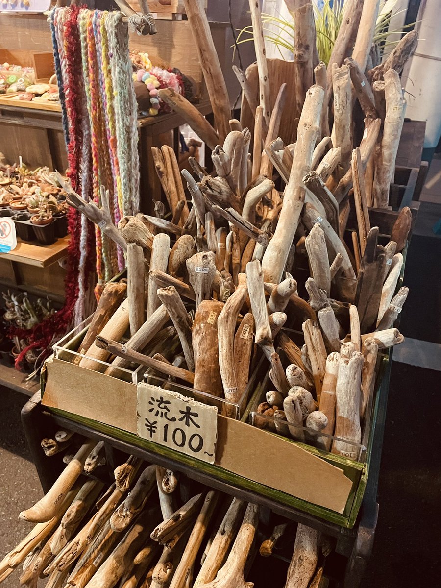 専用 ソウルさんご相談ページ 流木 専用 ソウルさんご相談ページ 流木 流木オブジェ