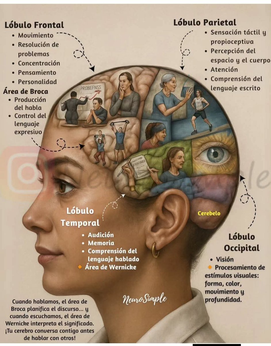 Julieta Sagnay Dra 🇪🇨 tweet media