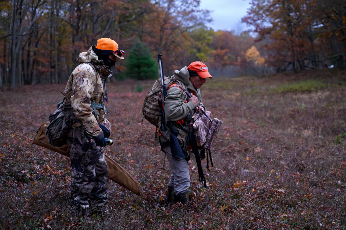 ZitoSalena tweet media