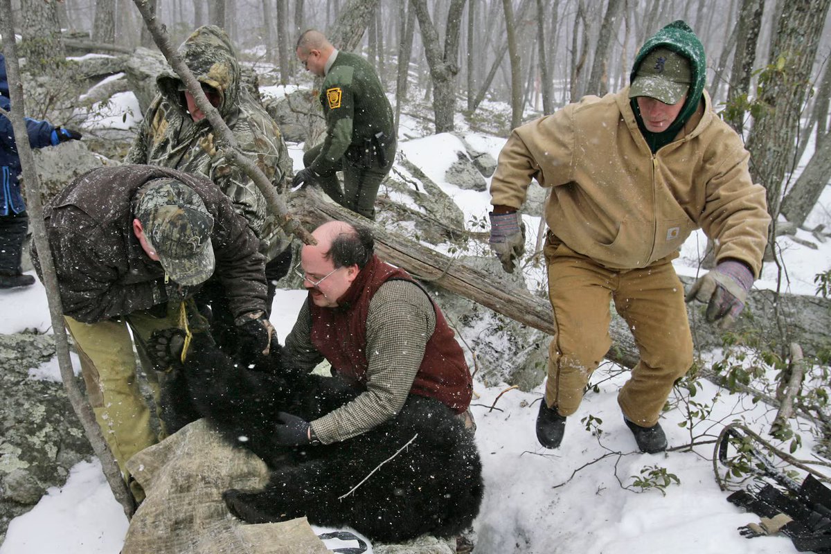 ZitoSalena tweet media