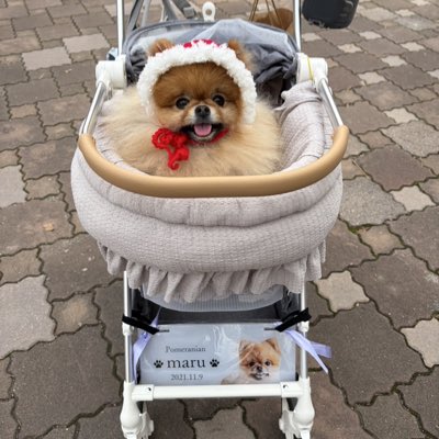 新しいプロフィール画像