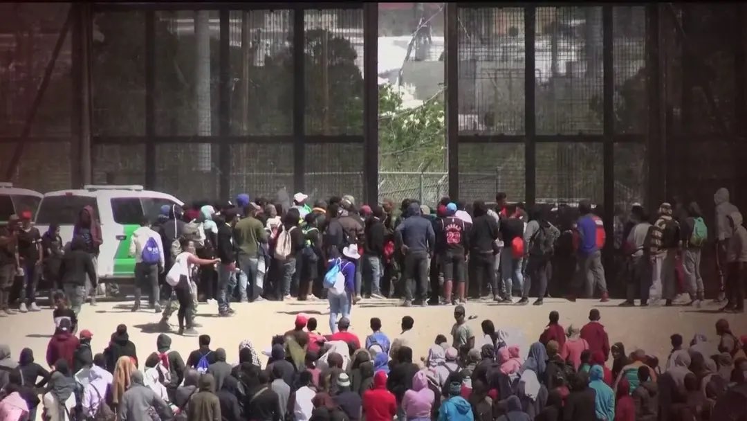 Visegrád 24 tweet media