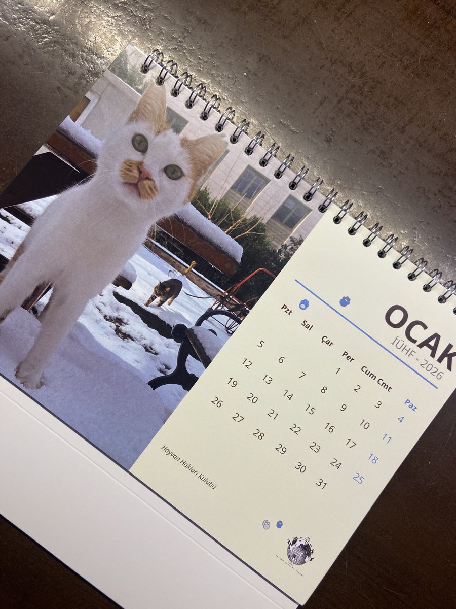 Hayvan hakları kulübü çok tatlı bi takvim yapmış ellerine sağlık #reklam değildir!
