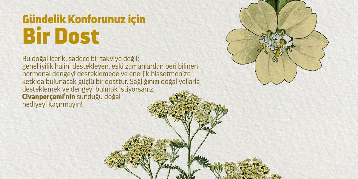 immunattr's tweet photo. 📷 +90 549 385 24 04
📷 info@immunat.com.tr
#immunattr #bitkiekstraktı #doğaletken #formülünsadeliği #bitkiselbazlı #günlükrutin #takviyeedicigıda #takviyegıdası https://t.co/IeZQejqtik