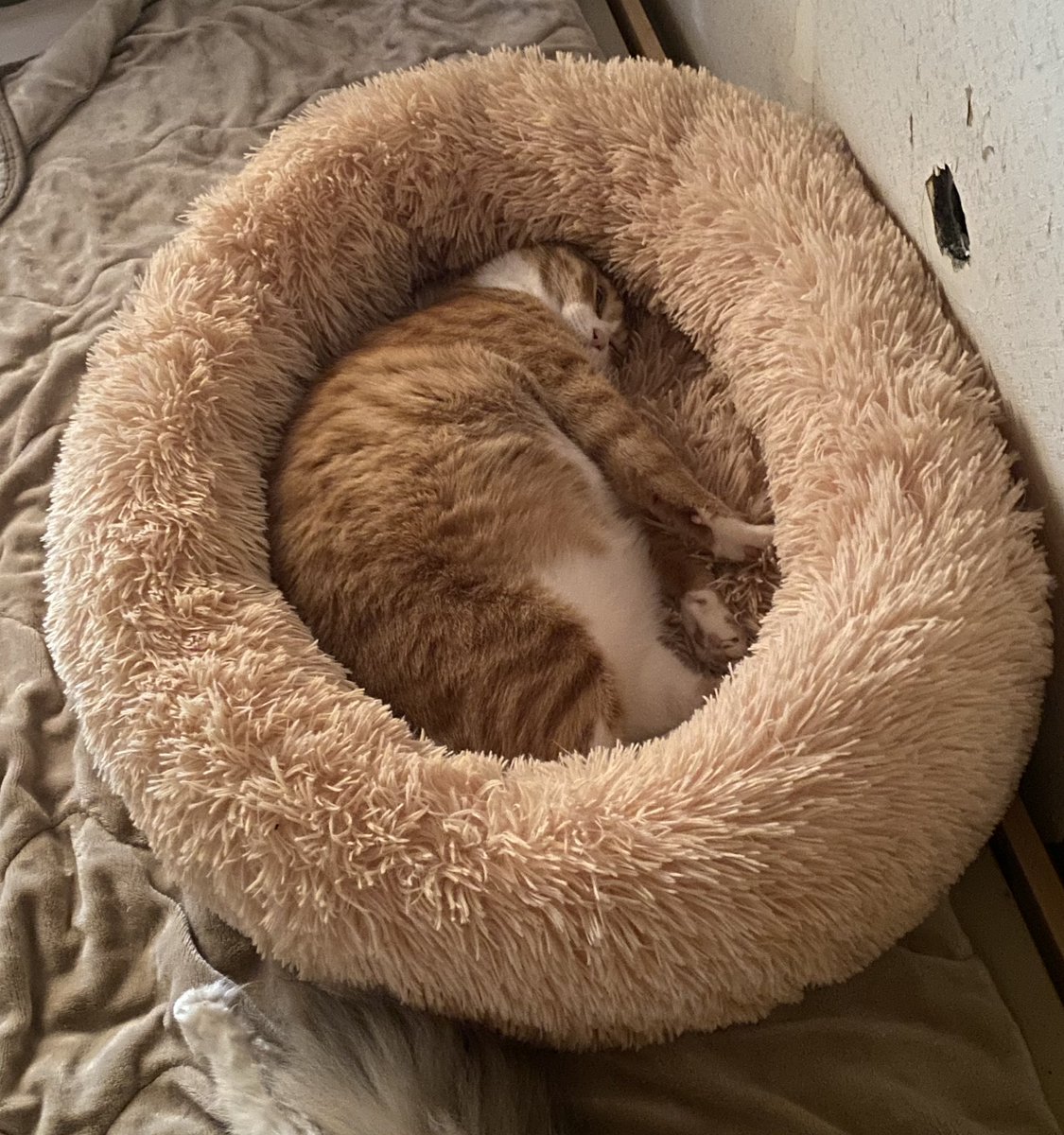 HEX (@hex603) / Posts / X