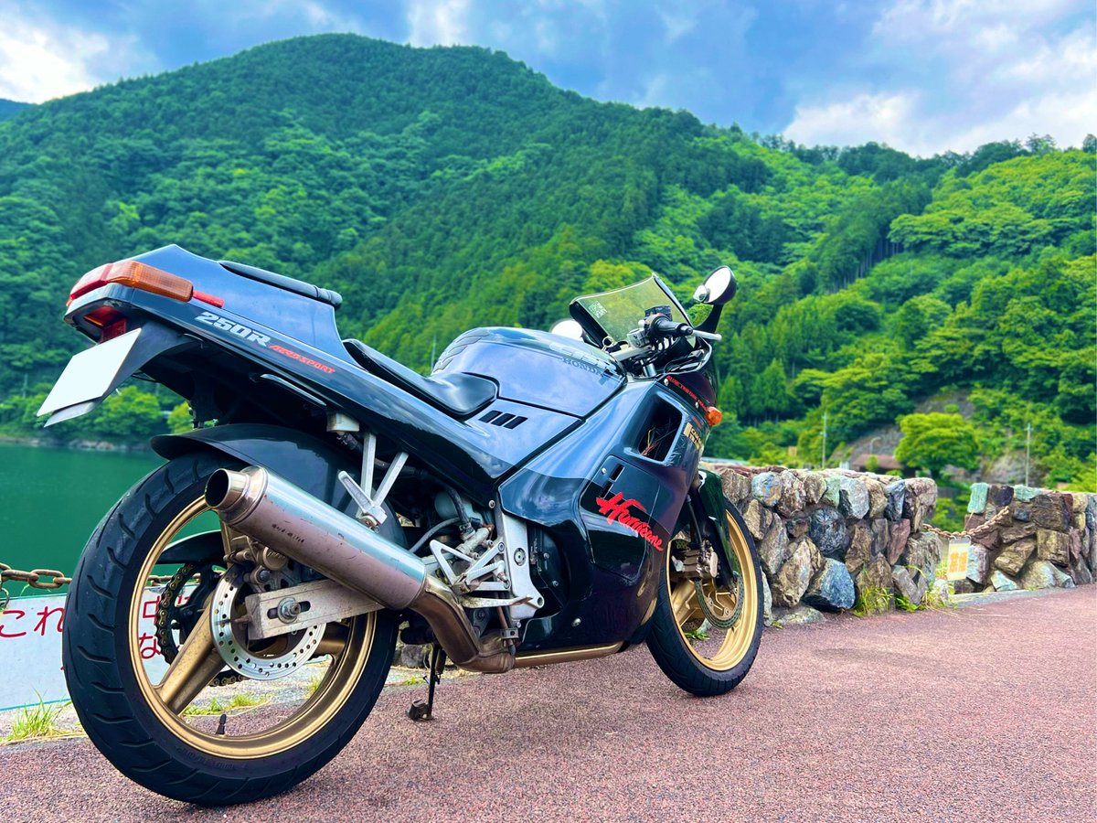 斜め後ろはかっこいいかもしれない