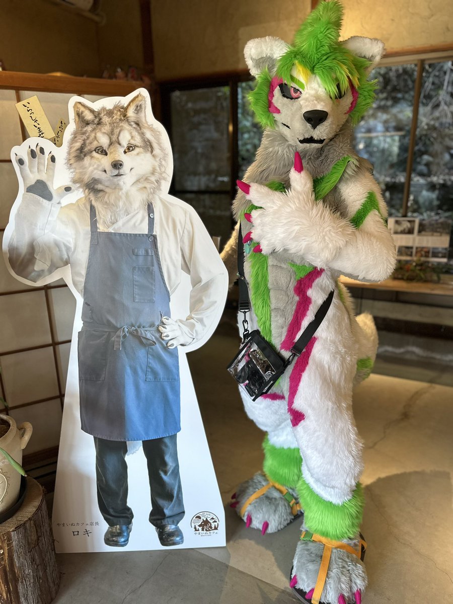 いぬ　 5205-ZZ NACHI Ball Bearing | P&P Distributors Inc