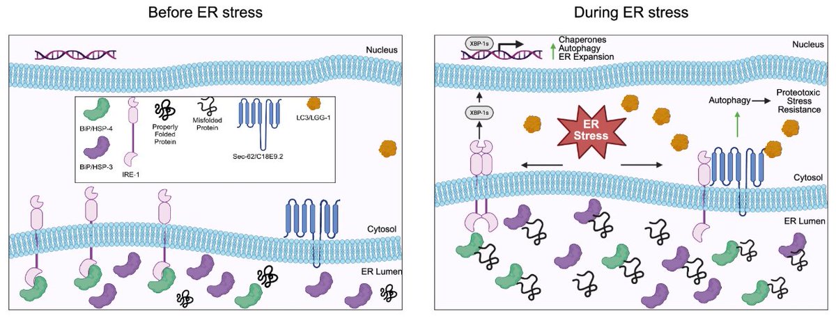 Dan Michele tweet media