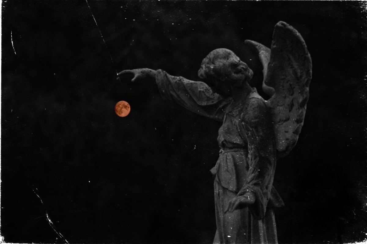 Evening is the time when the soul speaks what the day has silenced

#Love ❤️ 
#Moon 🌙 
#Shonu 💃