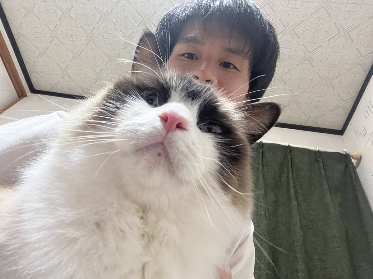 ねこたく Post by TAKASKE-【埼玉県】 🥷修業中🥷 on X: ただいま🐈み✨
