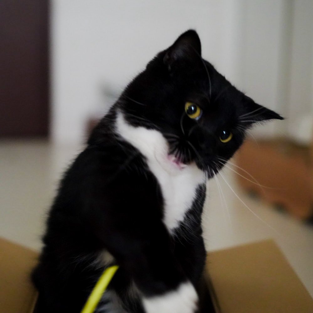 Take my strongest punch! :3