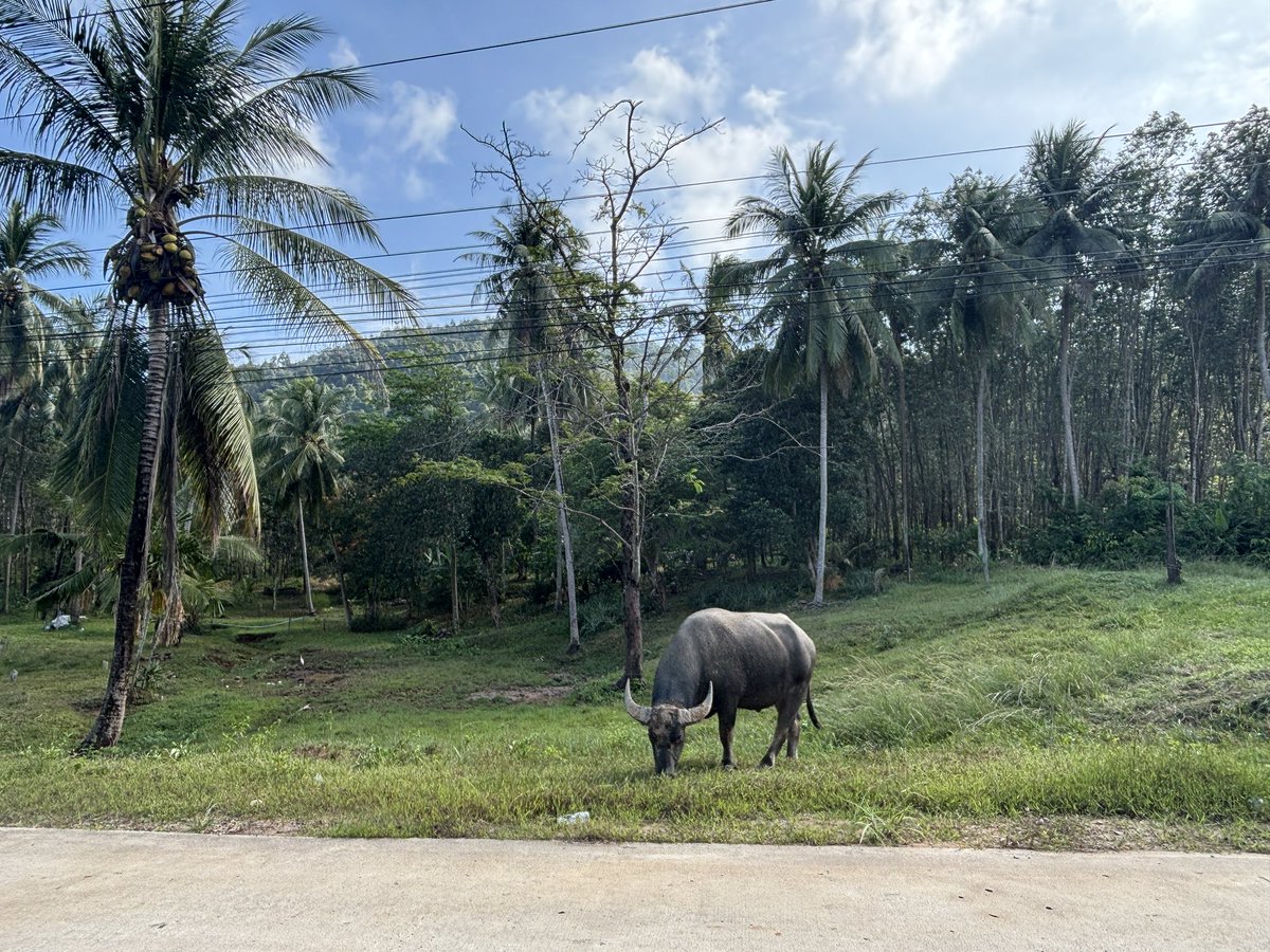 Daniel Fisher tweet media